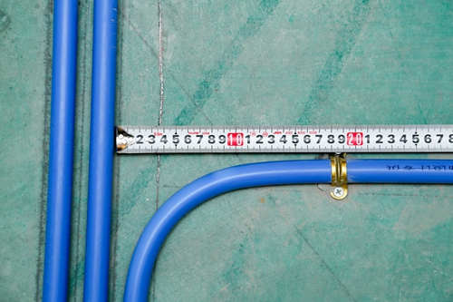 無錫紫蘋果裝飾