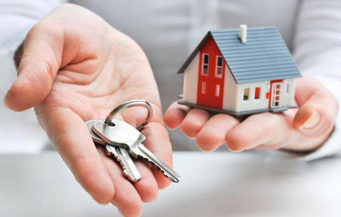 無錫紫蘋果裝飾