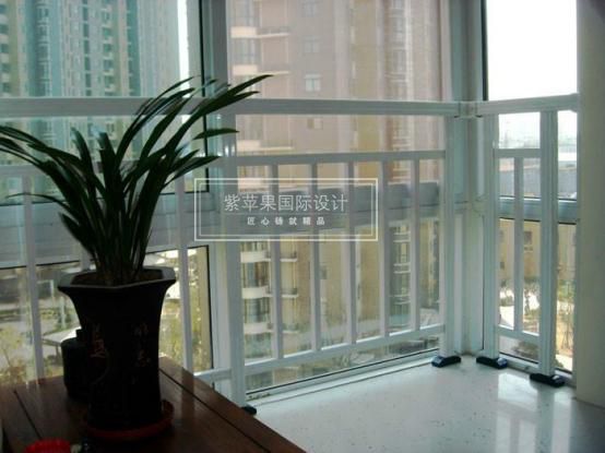 無錫紫蘋果裝飾