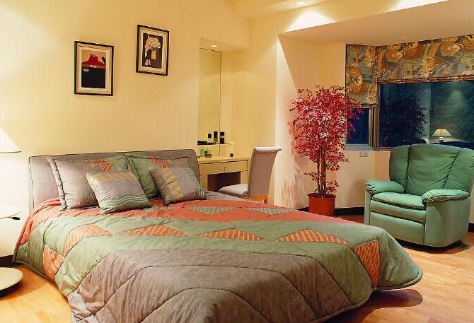 無錫紫蘋果裝飾