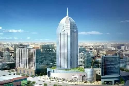 無錫紫蘋果裝飾