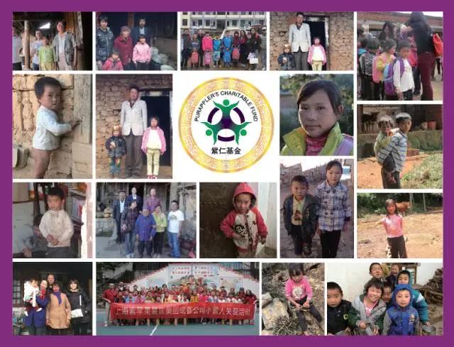 無(wú)錫紫蘋果裝飾