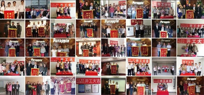 無(wú)錫紫蘋果裝飾