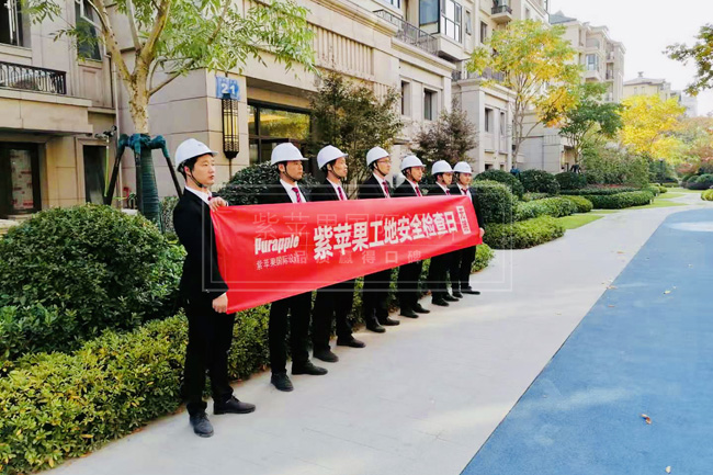 無(wú)錫紫蘋果裝飾 無(wú)錫紫蘋果裝飾