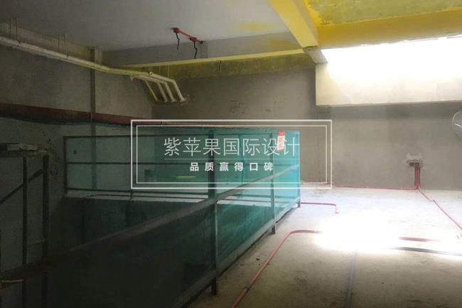 無(wú)錫紫蘋果裝飾 無(wú)錫紫蘋果裝飾