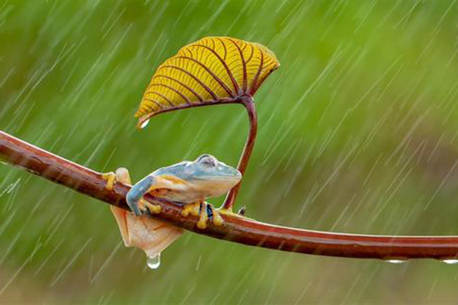 家庭裝修對(duì)房子的朝向有什么要求 家庭裝修對(duì)房子的朝向有什么要求